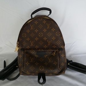 Louis Vuitton PALM SPRINGS BACKPACK PM